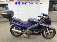 Kawasaki ZZ-R250 Год не установлен