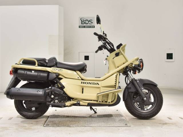 Honda ps250 big Ruckus